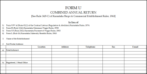 form-U(Annual)